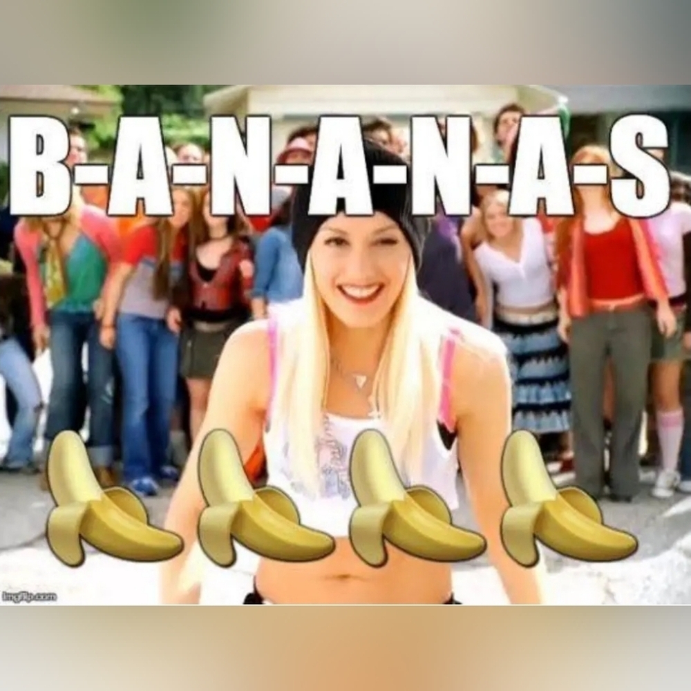 SONOMA | NWT Everyday V-Neck Tee w/ Bananas sz 3X - Picture 9 of 9